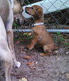 So Litter Maze - ADOPTED 10.07.15