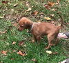 So Litter Maze - ADOPTED 10.07.15