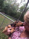 So Litter Cidermilli - ADOPTED 10.18.15
