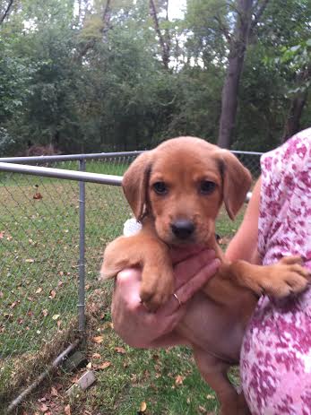 So Litter Spice - ADOPTED 10.04.15