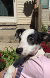 To Litter Fargo - ADOPTED 10.07.15