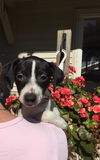 To Litter Fedora - ADOPTED 10.25.15