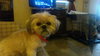 Miss Ruth - ADOPTED 11.06.15