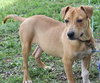 Freebird - ADOPTED 05.28.16