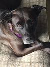 Asia - ADOPTED 01.28.16