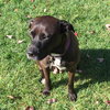 Asia - ADOPTED 01.28.16