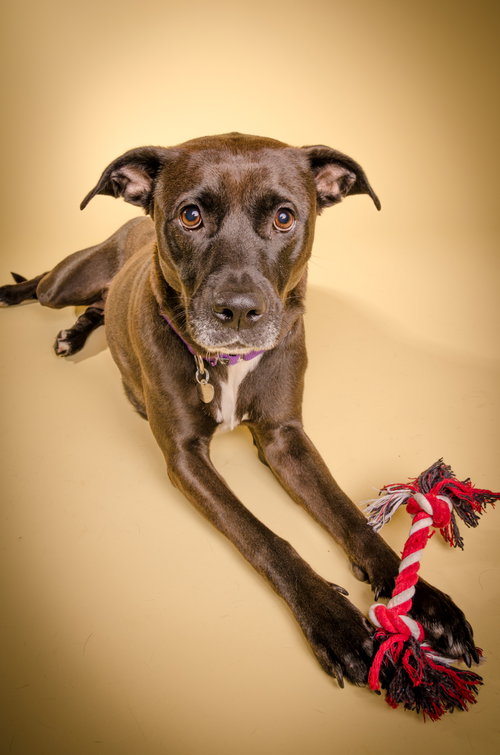 Asia - ADOPTED 01.28.16