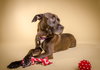 Asia - ADOPTED 01.28.16
