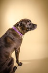 Asia - ADOPTED 01.28.16