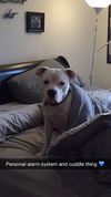 Killian - ADOPTED 11.4.15