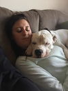 Killian - ADOPTED 11.4.15