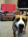 Stryker - ADOPTED-11.18.15
