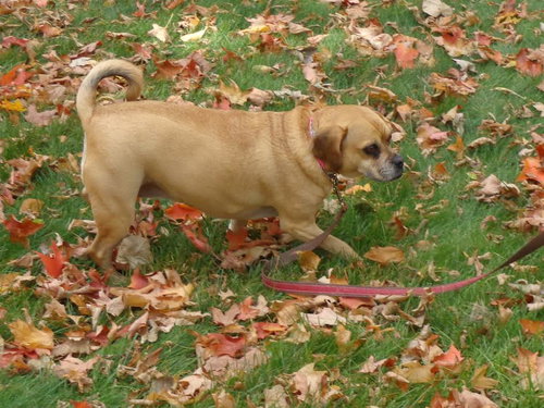 Miss Baxter - ADOPTED 11.08.15