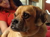 Miss Baxter - ADOPTED 11.08.15