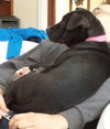 Bp Litter Claudia Jean - ADOPTED 08.11.16