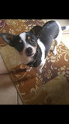 Rovos - ADOPTED-12.13.15