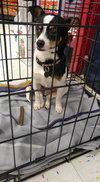Rovos - ADOPTED-12.13.15
