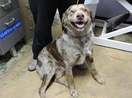 McTavish - ADOPTED 12.12.15