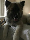 Rossignol - ADOPTED 12.3.15