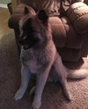 Rossignol - ADOPTED 12.3.15