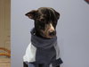 Fp Litter - Fenwick - ADOPTED 01.15.16