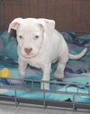 Mp Litter Effie - ADOPTED 03.09.16