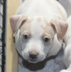 Mp Litter Mags - ADOPTED 02.15.19
