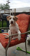 Mp Litter Mags - ADOPTED 02.15.19
