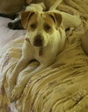 Mp Litter Mags - ADOPTED 02.15.19