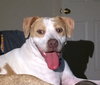 Mp Litter Mags - ADOPTED 02.15.19