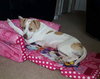 Mp Litter Mags - ADOPTED 02.15.19