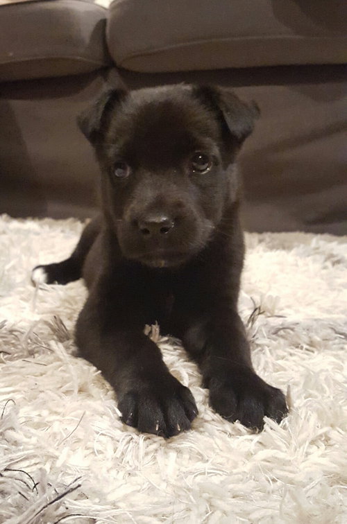 Kiley - ADOPTED 03.18.16