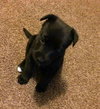 Kiley - ADOPTED 03.18.16
