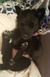Kiley - ADOPTED 03.18.16