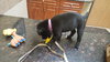 Kiley - ADOPTED 03.18.16