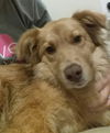 Malutki - ADOPTED 03.27.16