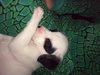 Sp Litter Grant - ADOPTED 04.26.16