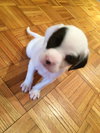 Sp Litter Grant - ADOPTED 04.26.16
