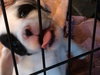 Sp Litter Grant - ADOPTED 04.26.16