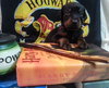 Zp Litter Potter - ADOPTED 06.28.16