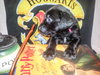 Zp Litter Ginny - ADOPTED 07.04.16