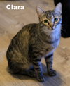 Clara (NapaHM) - Photo 2