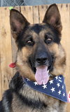 Checkers - Photo 2