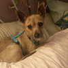 Ruthie - Photo 3