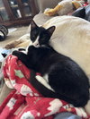 Manny - Photo 2