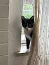 Manny - Photo 3