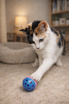 Ashley (Napa Petco) - Photo 4