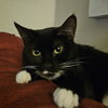 Rosie SC - Photo 4