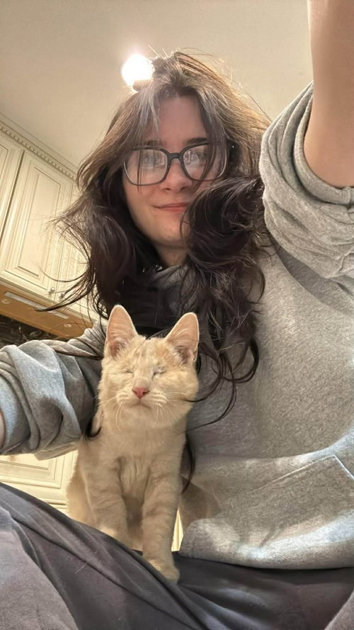 picture of the cat needing adoption