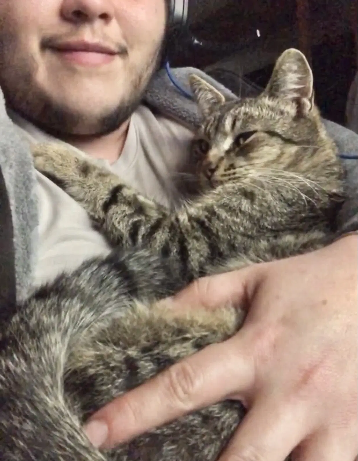 Floopa Napa - Tabby